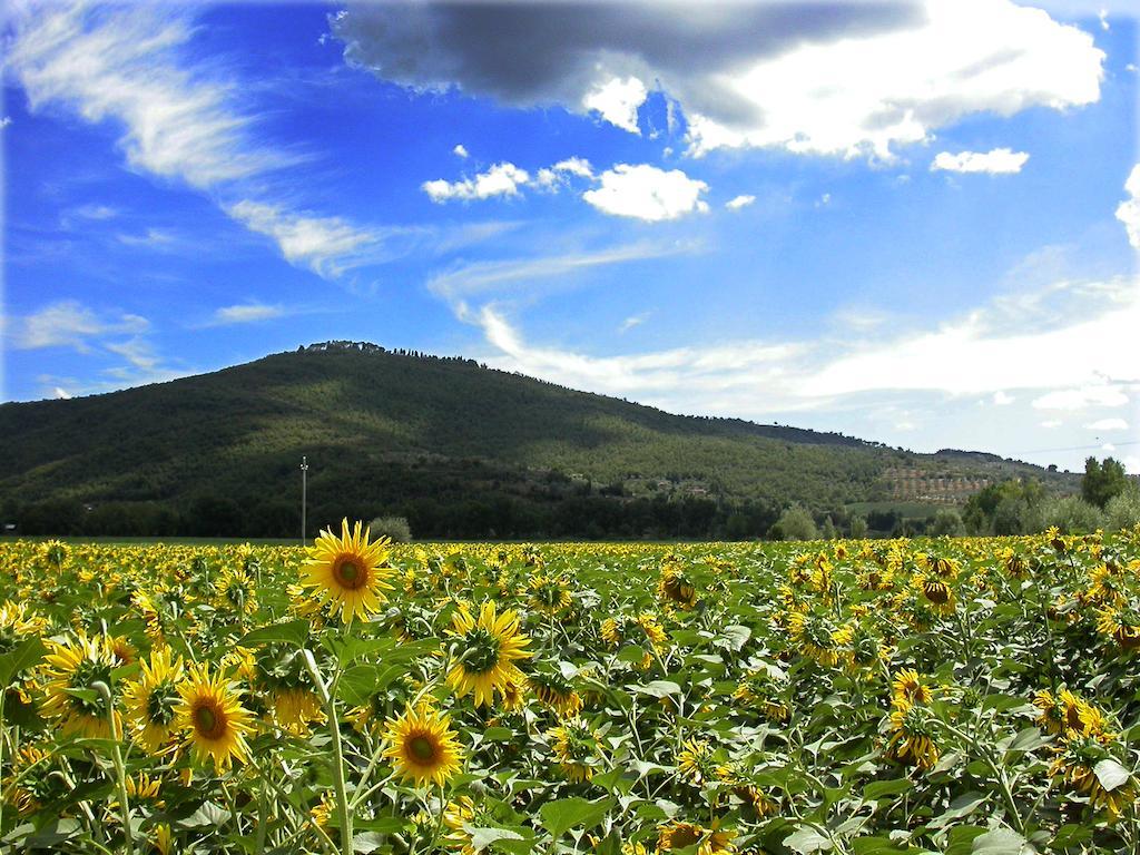 Holiday Home Il Moro Novo Cortona Luaran gambar